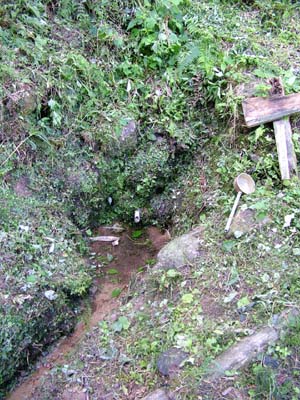 写真:20.とよの水場