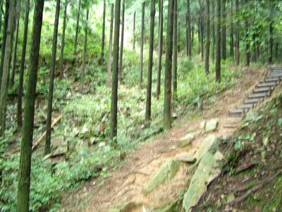 写真:16.降りルート