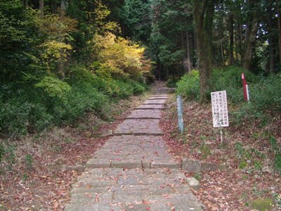 写真:06.藤坂