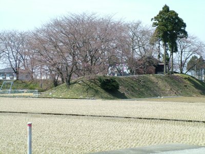 写真:11.若栗_城址を望む