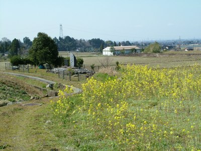 写真:22.弓庄城_弓庄城跡全景