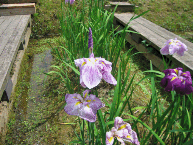 写真1