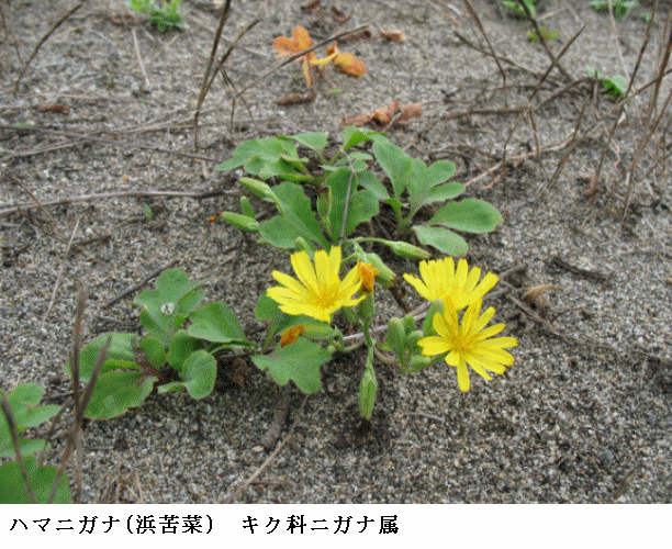 写真2