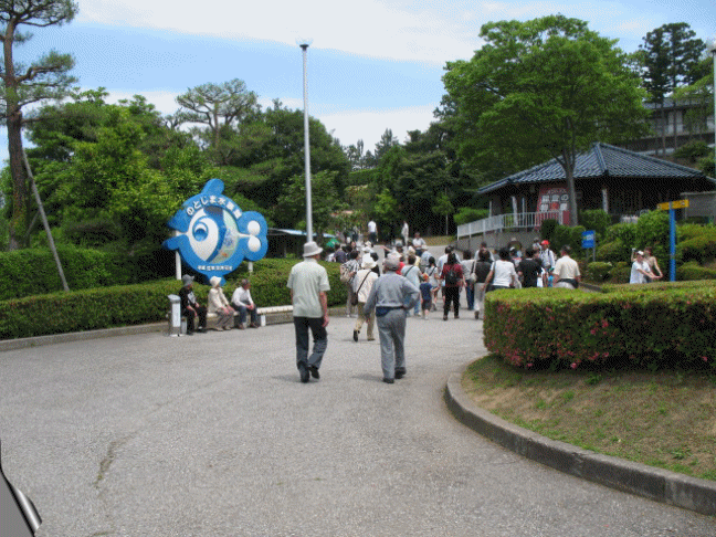 のとじま水族館 イルカショー
