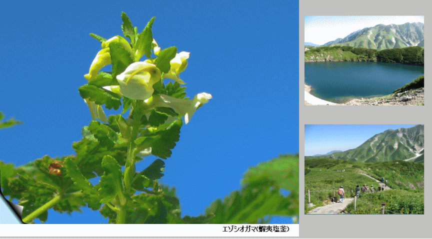 室堂散策−3