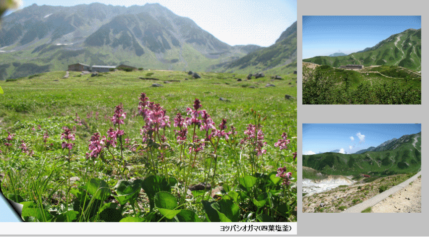 室堂散策−4