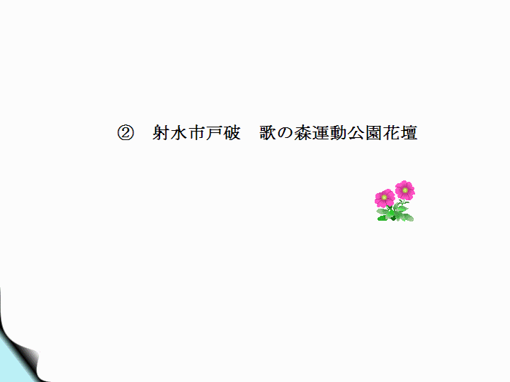 (財)花と緑の銀行研修会−2