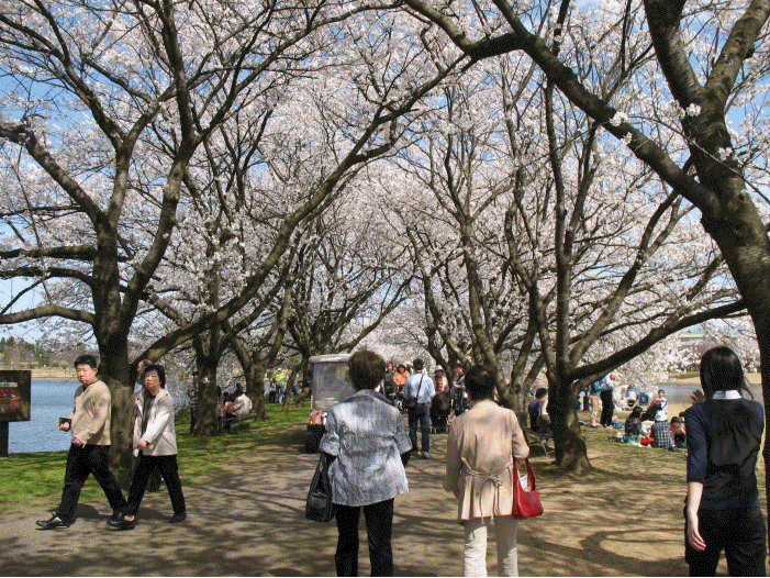 富山県中央植物園にて