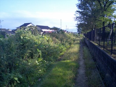 牛ヶ首用水横の道