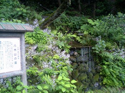 八木山の瀧-1