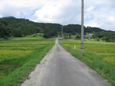 道