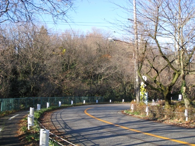 城山雑木林