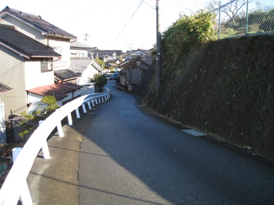 露地