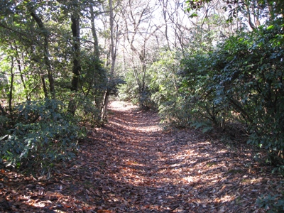 遊歩道