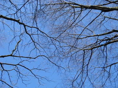 空