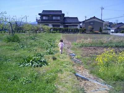 あぜ道