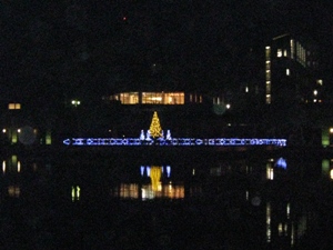 081219写真01