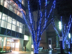 101222写真01