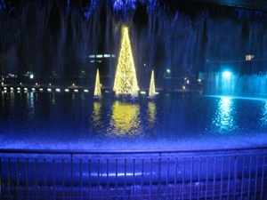 121226写真01
