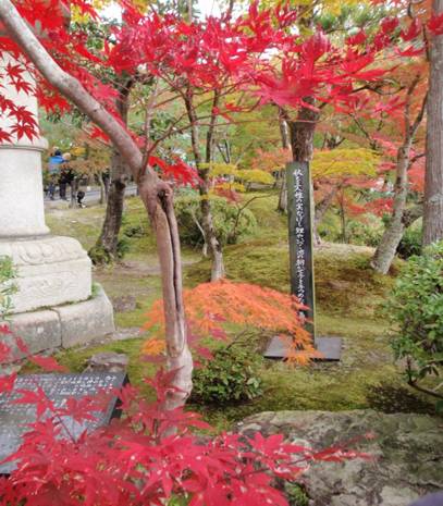20121110写真08