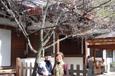 20131109写真05