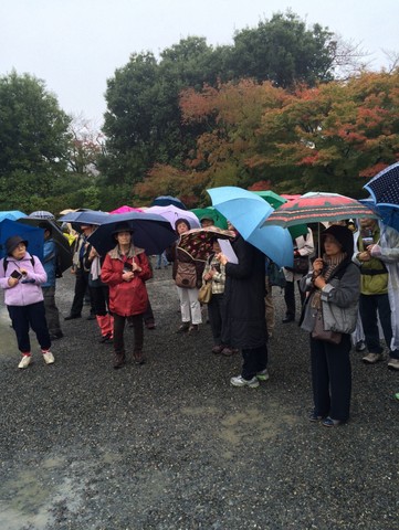20141109写真06