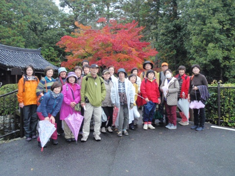 20151108写真01