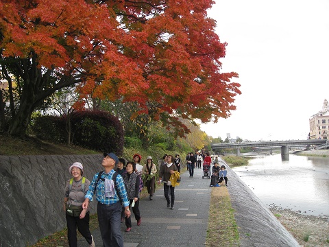 20161120写真01