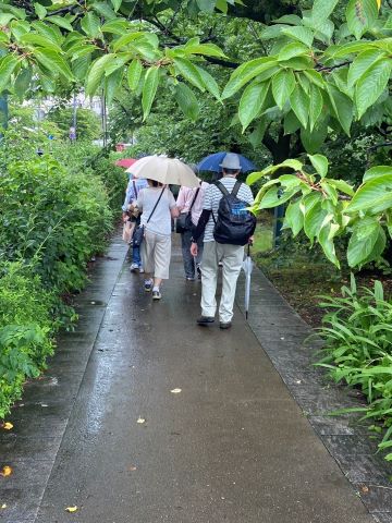 20230701写真05
