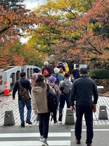 20241117写真01
