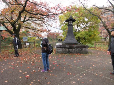 20241117写真05