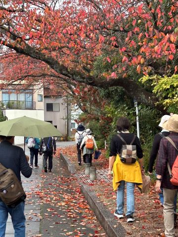 20241117写真06